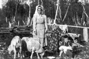 Женщина-колтта с детьми и овцами. Суоникюля, 1930 г. Источник: Raimo Rameen kok 