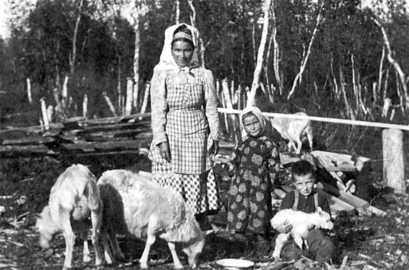 Файл:00004463.jpg