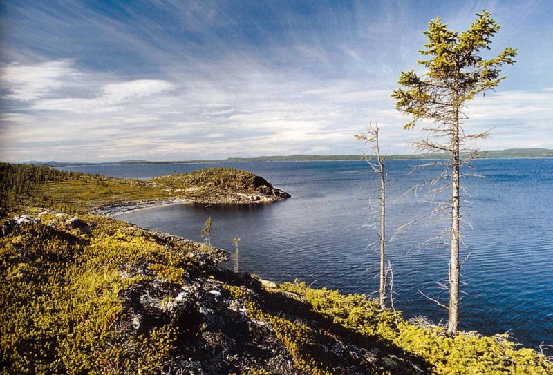 Файл:00008156.jpg