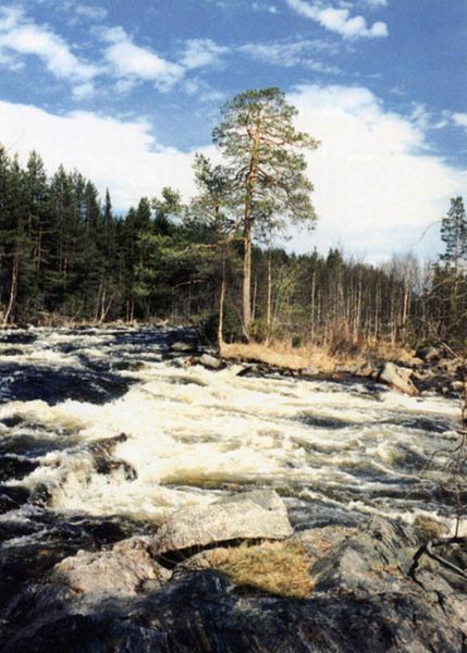Файл:00007486.jpg