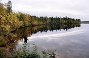 Река Паз в верхнем течении в окрестностях пос. Раякоски. Осень 1999 Из фондов Печенгского краеведческого музея 