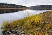 Река Поной в нижнем течении Фотоархив А. Даниловского 