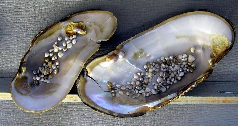 Файл:00132847.jpg