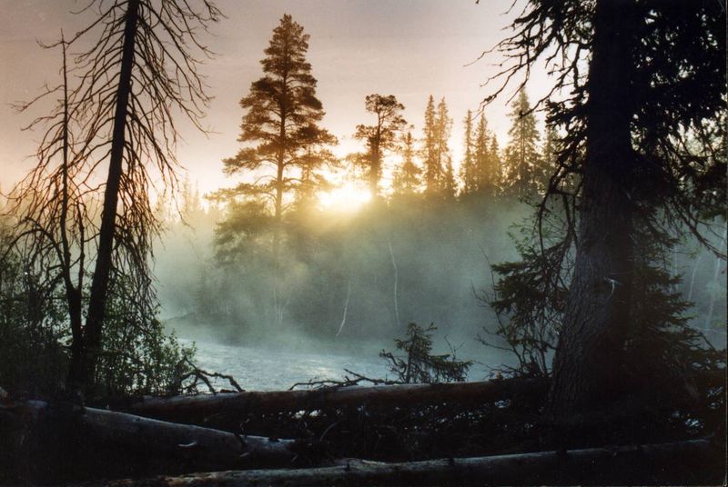 Файл:00001820.jpg