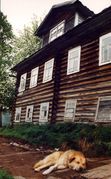 Фото Л. Федосеева 