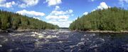 Фото В. Кузнецова 