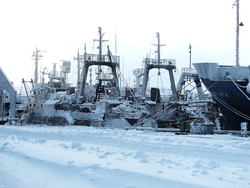 Файл:00024804.jpg