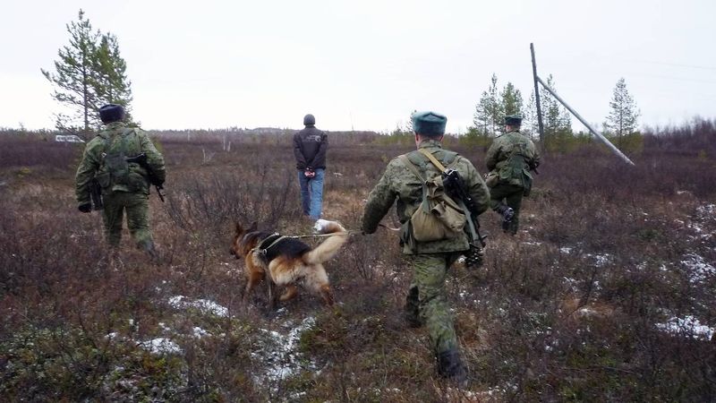 Файл:00134066.jpg