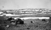 Немецкие танки перед атакой