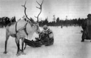 Ю. Ряме в саамской кереже для поездки в Суоникюля. 1930-е гг. Из кн.: Turjanmeren Maa: Petsamon historia 
