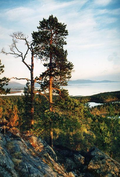 Файл:00001827.jpg