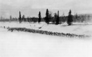 Райда оленей в Печенгских тундрах Из кн.: Turjanmeren Maa: Petsamon historia 1920–1944 