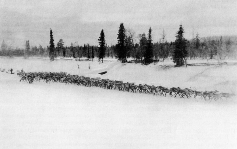 Файл:Ph0001.jpg