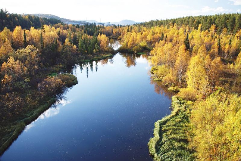 Файл:00132982.jpg