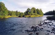 В среднем течении Архив Беляева А. В. 