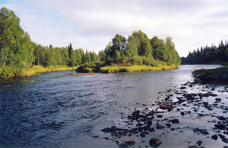 Файл:00003136.jpg