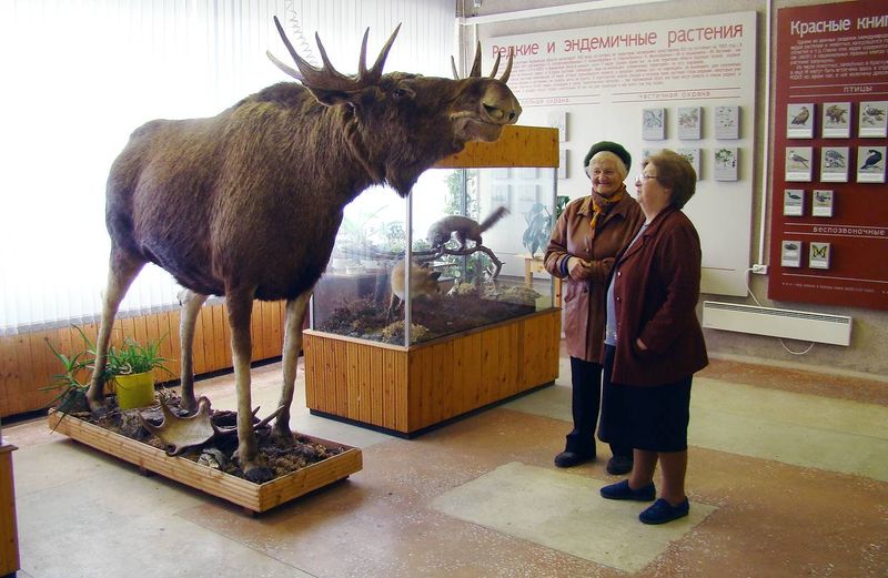 Файл:00123214.jpg