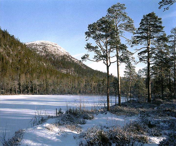 Файл:00026732.jpg