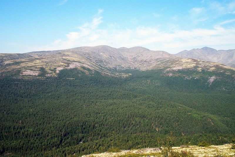 Файл:00004971.jpg