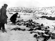 Останки советских военнопленных вблизи пос. Луостари. 1944. Архив В. А. Мацак 