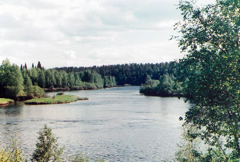 Файл:00005433.jpg