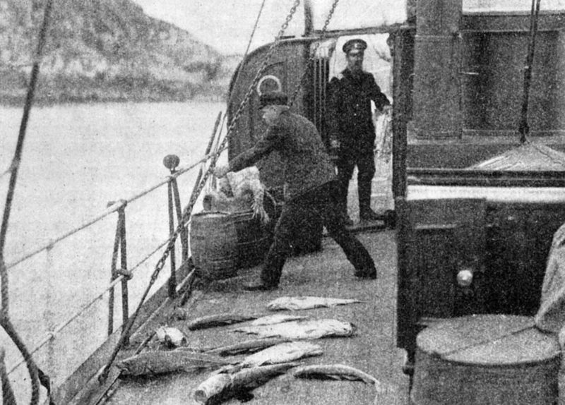 Файл:00007761.jpg