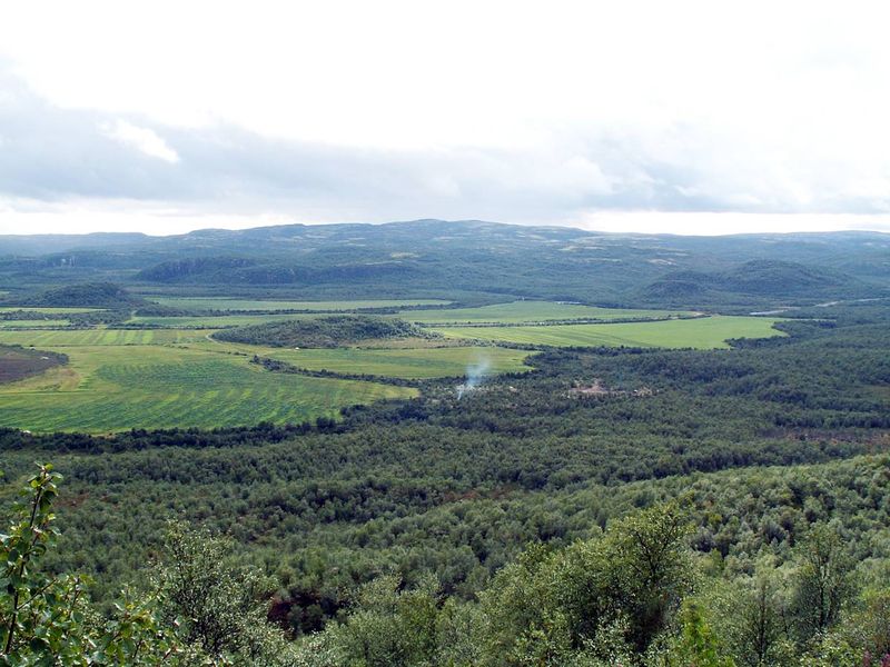 Файл:00105197.jpg