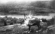 Село Умба. На заднем плане — Воскресенская церковь. Почтовая открытка. Нач. 1900-х гг. Архив Ю. П. Смурова 