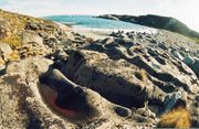 Берег Баренцева моря Фото М. Борисенко. Архив В. А. Мацак 