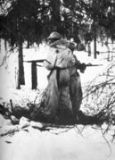 Норвежские добровольцы в рядах Вермахта Из кн.: А. Штейнрих. — Горные стрелки. 6-я горная дивизия СС «Норд» 1940–1945 