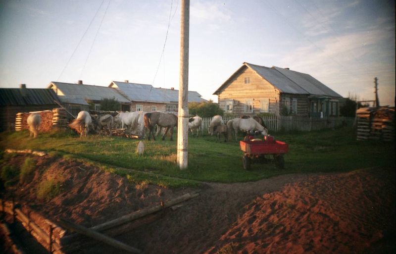 Файл:00133794.jpg