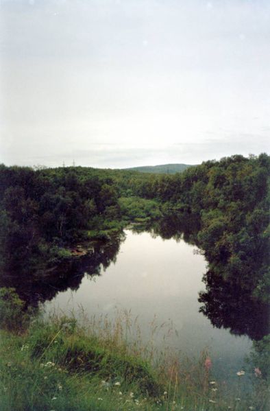 Файл:00004466.jpg