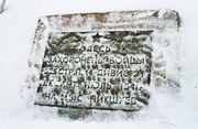 Фото С. Миронова 
