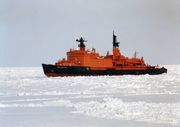 Фото Л. Федосеева 