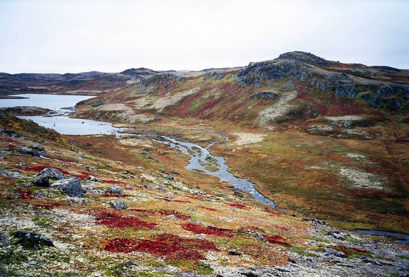 Файл:00133230.jpg
