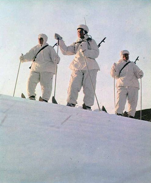 Файл:00006512.jpg