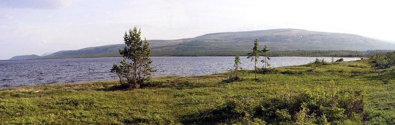 Файл:00133750.jpg