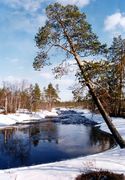 Река Наутси весной Фото В. Смоленского. Архив В. А. Мацак 