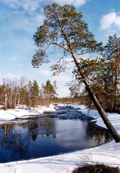 Файл:00004730.jpg