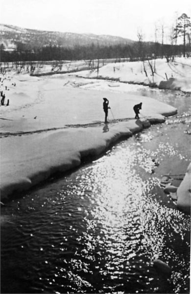 Файл:00004414.jpg