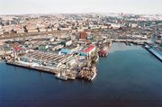 Фото Л. Белозеровой 