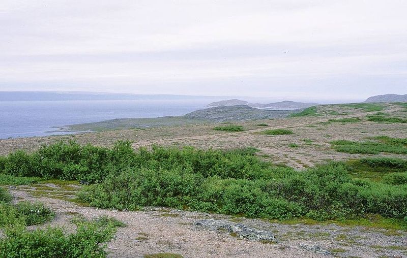 Файл:00132612.jpg
