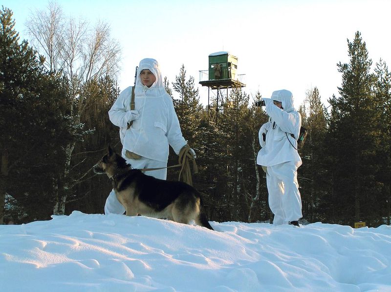 Файл:00134072.jpg