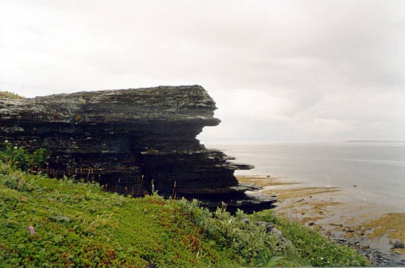 Файл:00004471.jpg